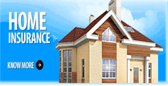 Plano Home Insurance